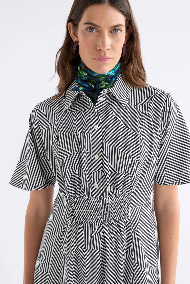 Vier Dress | Mane Print