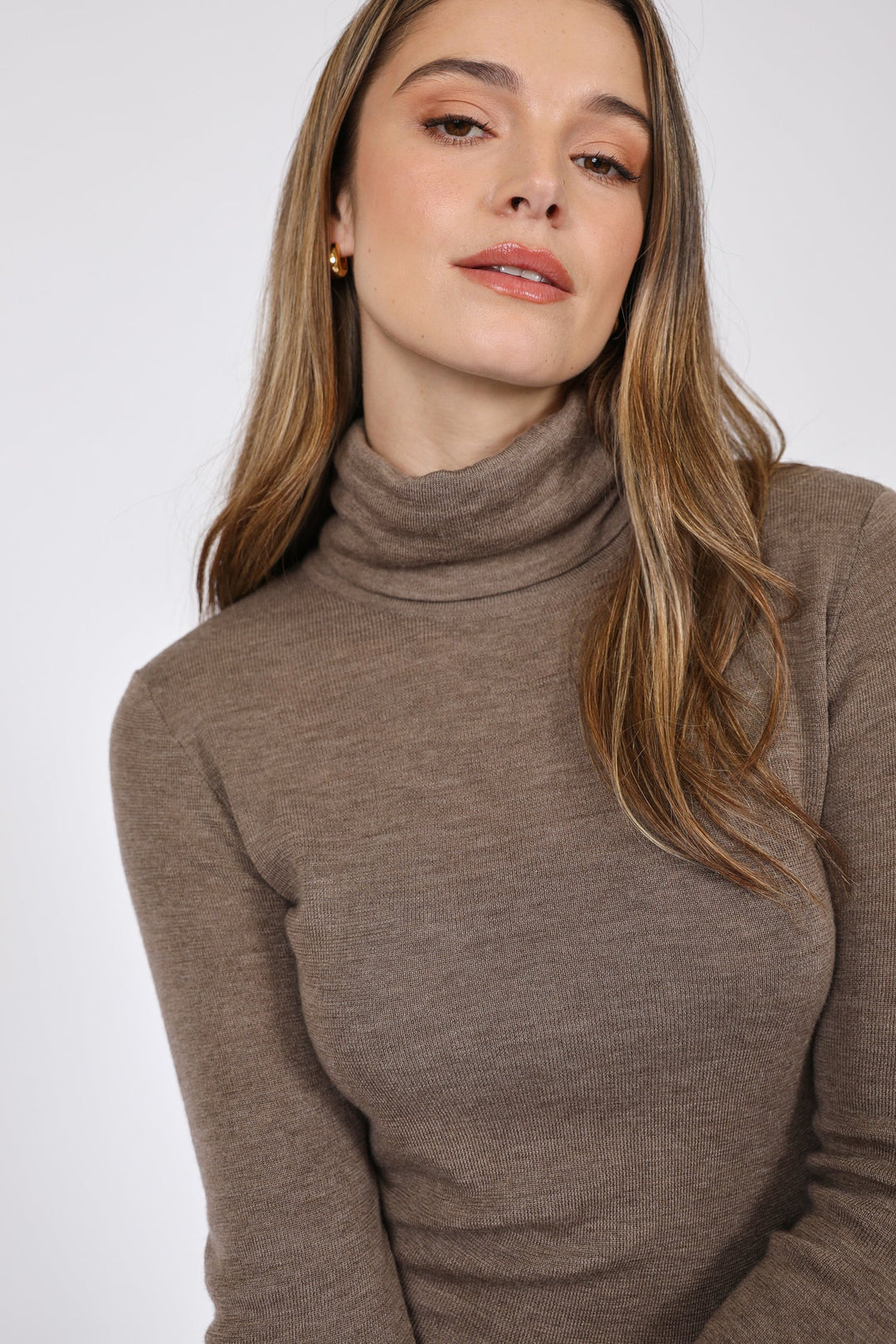 Alto Merino Roll Neck | Mushroom