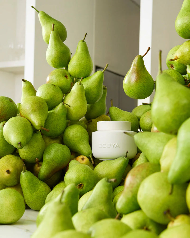Ecoya Soy Melt- French Pear