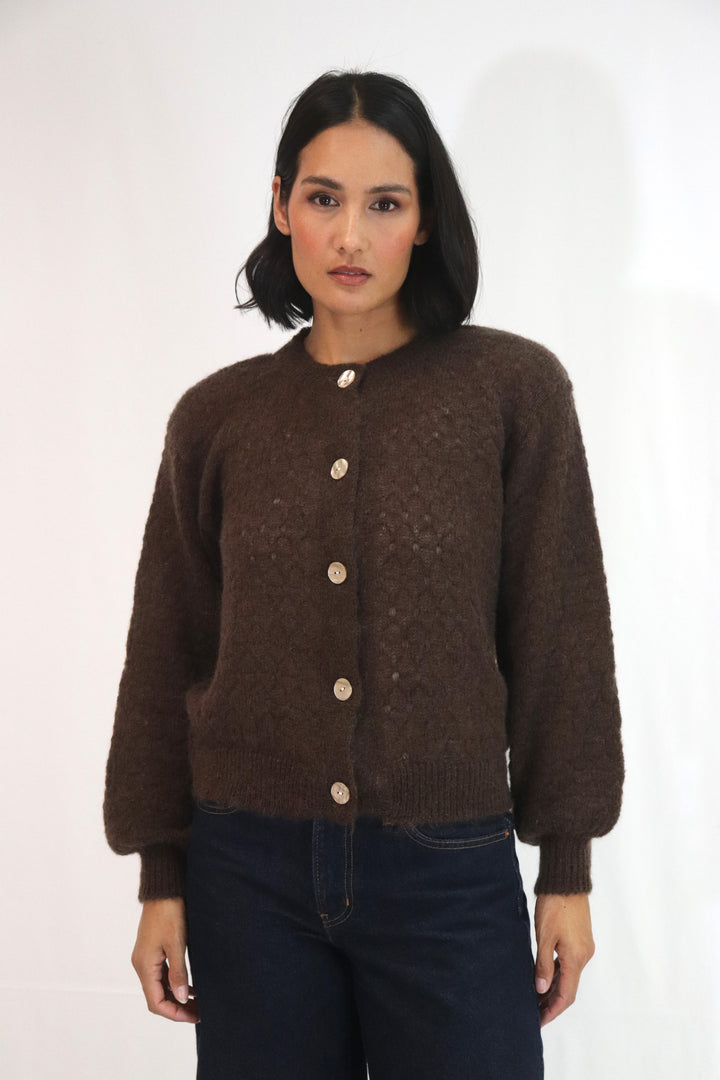 Asta Cardi | Chocolate