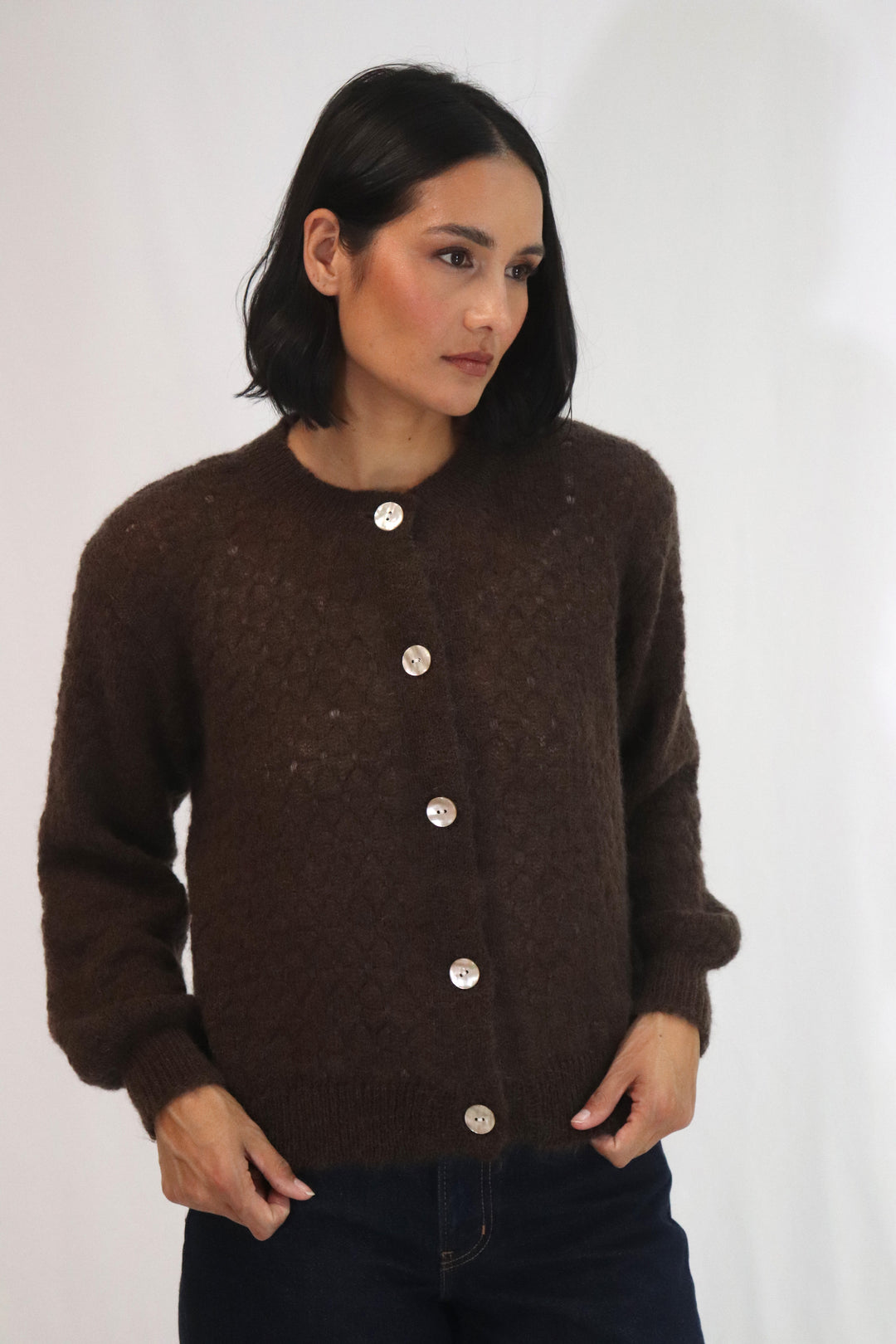 Asta Cardi | Chocolate