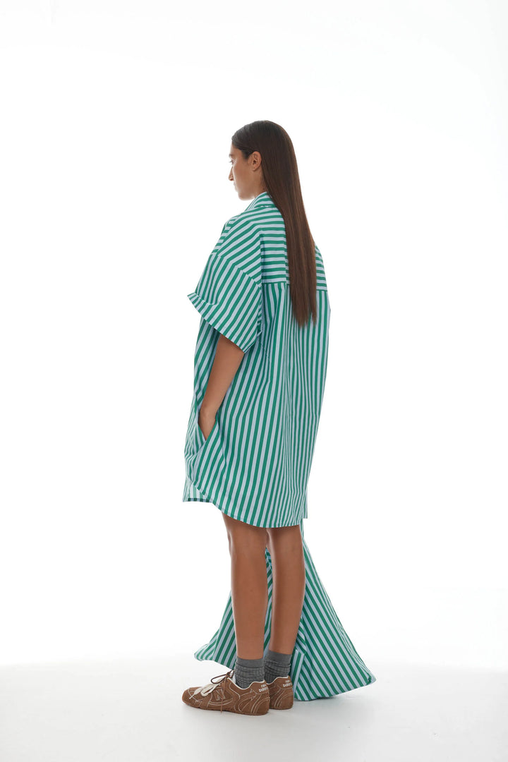Holger Shirt Dress | Grass Green/Light Blue