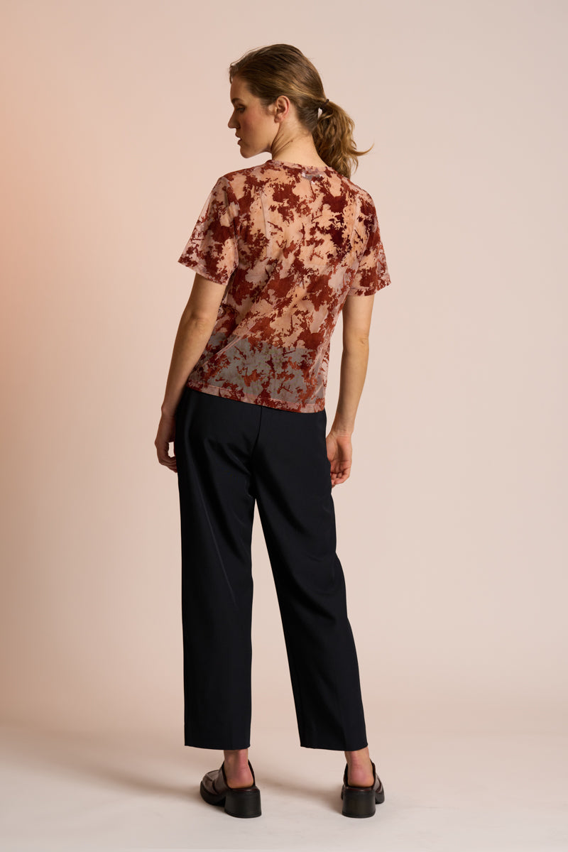 Sequoia Top | Sequoia