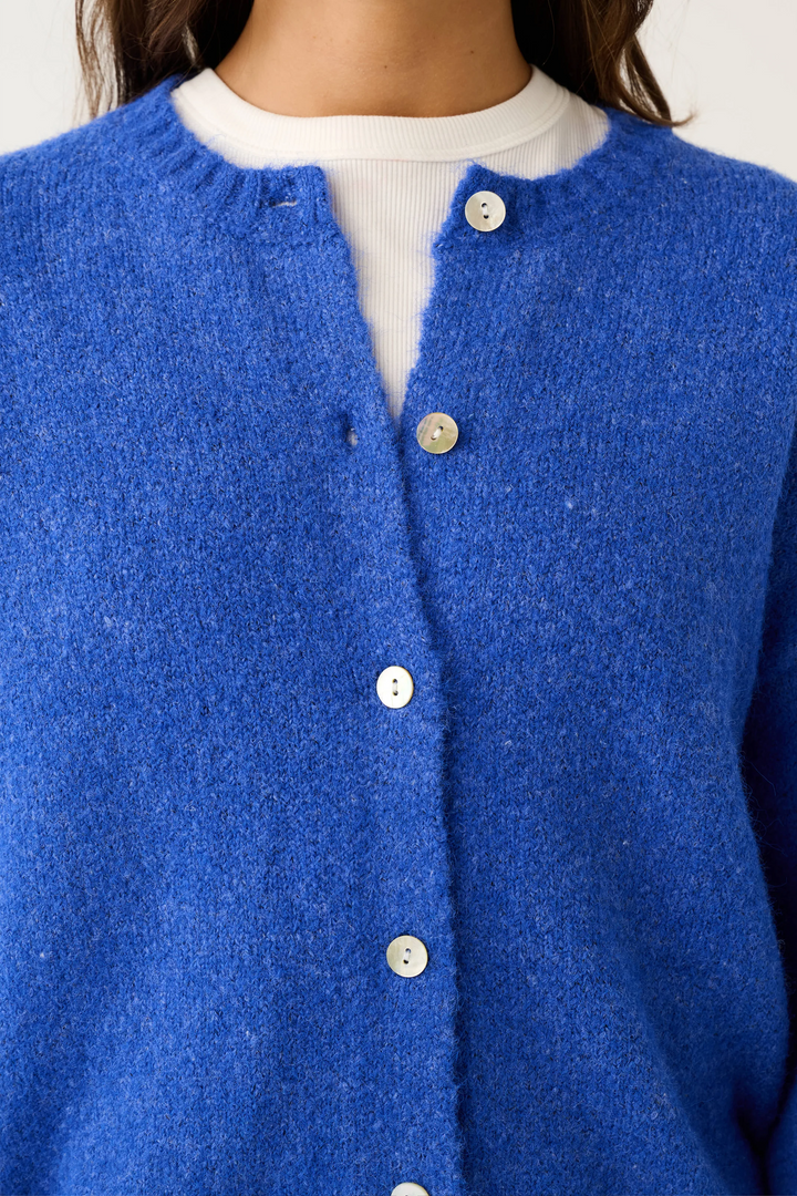 Aurora Cardi | Cobalt
